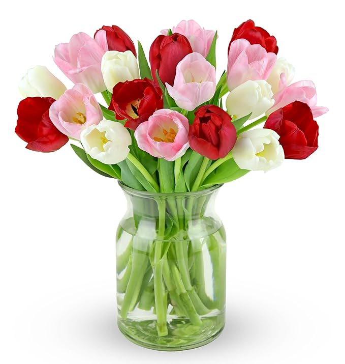 Benchmark Bouquets - 20 Stem Seasonal Tulips (Glass Vase Included) - Fresh Flowers for Delivery - Gift for Graduation, Birthday, Anniversary, Sympathy, Get Well, Congratulations