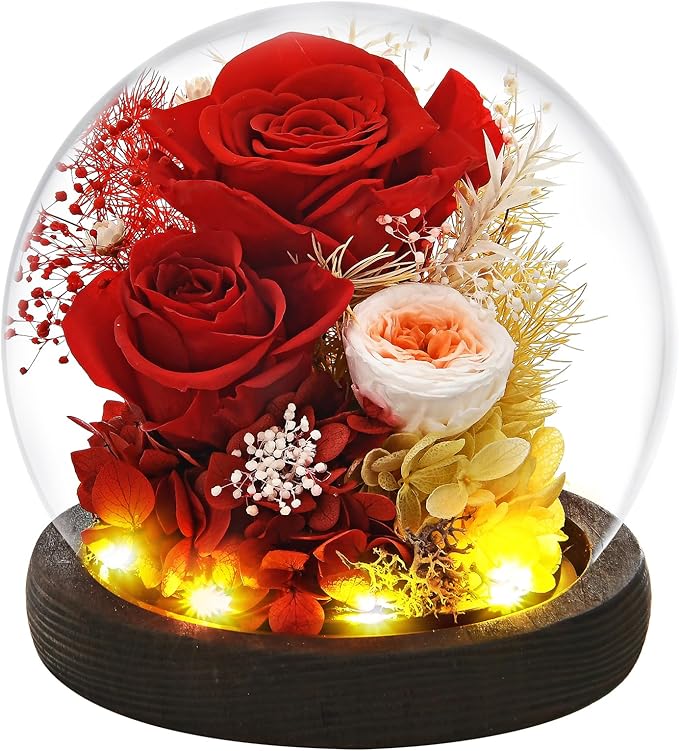 Gifts for Wome, Mom, Grandma, Wife, Preserved Rose Flowers in Glass Dome for Birthday Gifts, Christmas, Anniversary, Wedding, Thanksgiving, Mothers Day, with LED Light (Red)